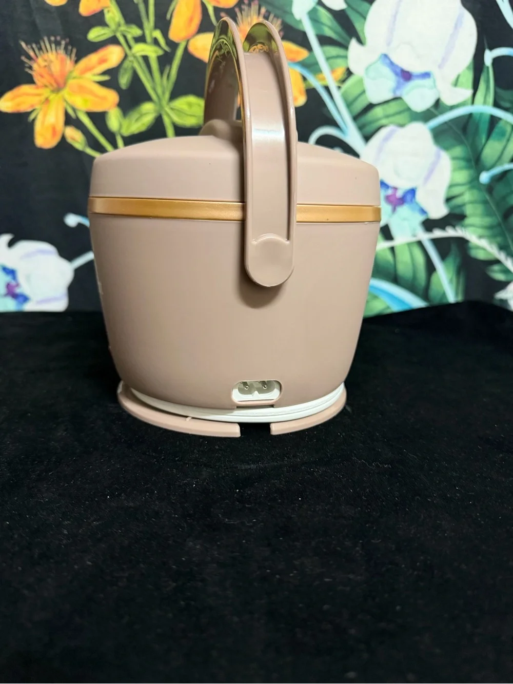 Crockpot Compact Electric Cooker in Taupe with Gold Trim